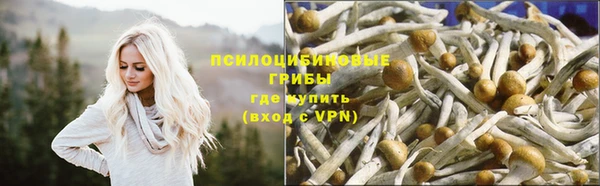 скорость mdpv Богородицк