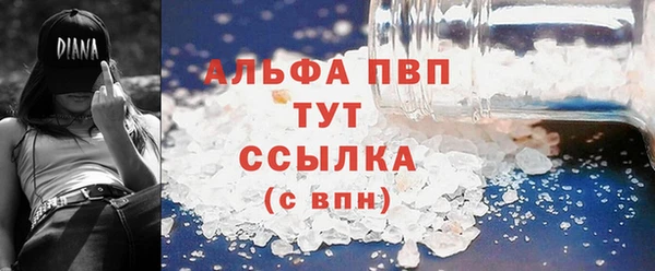 spice Беломорск